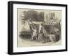 Scene from Serve Him Right, at the Lyceum Theatre-null-Framed Giclee Print