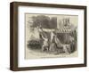 Scene from Serve Him Right, at the Lyceum Theatre-null-Framed Giclee Print