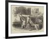 Scene from Serve Him Right, at the Lyceum Theatre-null-Framed Giclee Print