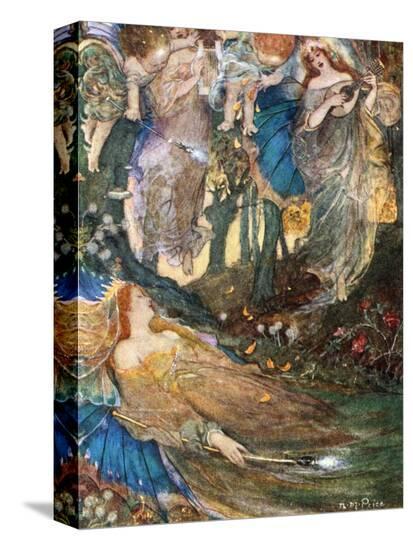 Stretched Canvas Print, , large
