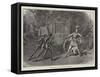 Scene from the Covent Garden Pantomime-David Henry Friston-Framed Stretched Canvas