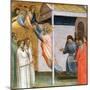 Scene from the Life of St John, C1320-1366-Taddeo Gaddi-Mounted Giclee Print