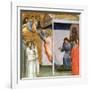 Scene from the Life of St John, C1320-1366-Taddeo Gaddi-Framed Giclee Print