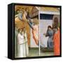 Scene from the Life of St John, C1320-1366-Taddeo Gaddi-Framed Stretched Canvas
