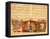 Scene from the only known illustrated manuscript of the poem, the Romance of Varqa and Gulshah-Werner Forman-Framed Stretched Canvas