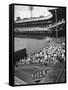 Scene from the Polo Grounds, During the Giant Vs. Dodgers Game-Yale Joel-Framed Stretched Canvas