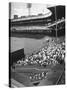 Scene from the Polo Grounds, During the Giant Vs. Dodgers Game-Yale Joel-Stretched Canvas