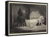 Scene from the Woman in White, at the Olympic Theatre-Sir James Dromgole Linton-Framed Stretched Canvas