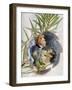 Scene from Tosca, Opera-Giacomo Puccini-Framed Giclee Print