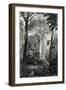 Scene in a Brazilian Forest Engraved by J.Bishop-Henry George Hine-Framed Giclee Print