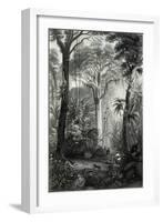 Scene in a Brazilian Forest Engraved by J.Bishop-Henry George Hine-Framed Giclee Print