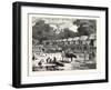 Scene in a Village in the Laos Country-null-Framed Giclee Print