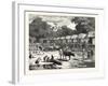 Scene in a Village in the Laos Country-null-Framed Giclee Print