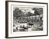 Scene in a Village in the Laos Country-null-Framed Giclee Print