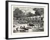 Scene in a Village in the Laos Country-null-Framed Giclee Print