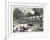 Scene in a Village in the Laos Country-null-Framed Giclee Print