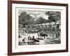 Scene in a Village in the Laos Country-null-Framed Giclee Print