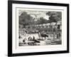 Scene in a Village in the Laos Country-null-Framed Giclee Print