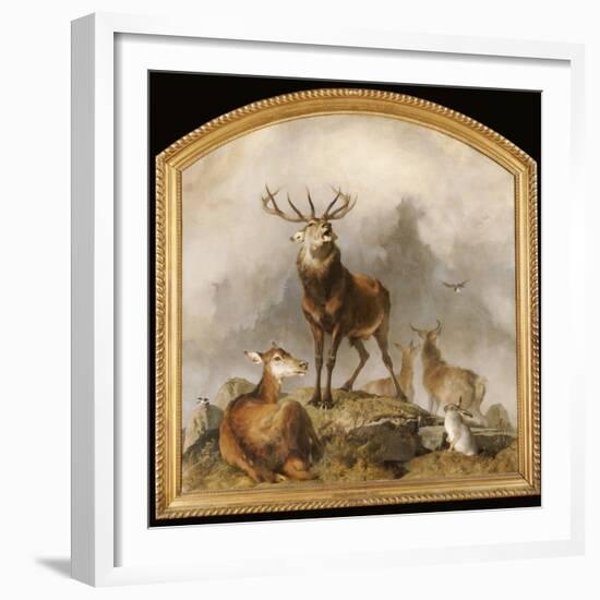 Scene in Braemar - Highland Deer-Edwin Henry Landseer-Framed Giclee Print