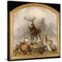 Scene in Braemar - Highland Deer-Edwin Henry Landseer-Stretched Canvas