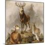 Scene in Braemar, Highland Deer-Edwin Henry Landseer-Mounted Giclee Print