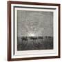 Scene in the Desert of Gobi-null-Framed Giclee Print