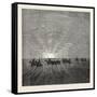 Scene in the Desert of Gobi-null-Framed Stretched Canvas