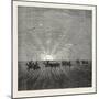 Scene in the Desert of Gobi-null-Mounted Premium Giclee Print