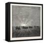 Scene in the Desert of Gobi-null-Framed Stretched Canvas