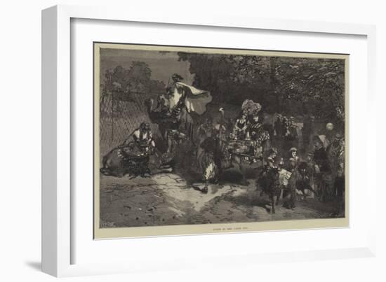 Scene in the Paris Zoo-null-Framed Giclee Print