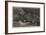 Scene in the Paris Zoo-null-Framed Giclee Print