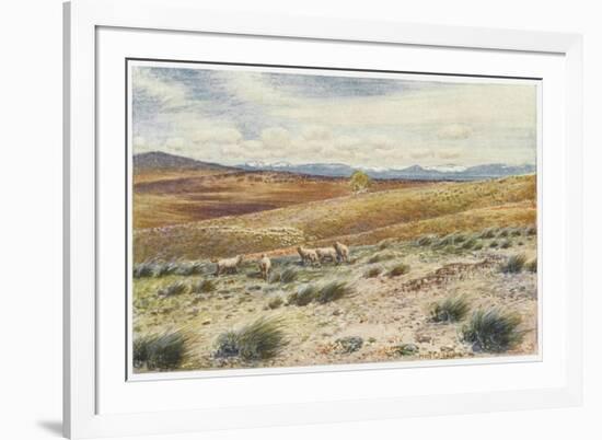 Scene in the Snowy Mountains Near Canberra-Percy F.s. Spence-Framed Art Print