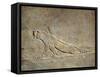 Scene of Ashurbanipal Hunting: a Wounded Lioness, Relief from Royal Palaces of Nineveh-null-Framed Stretched Canvas