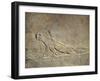 Scene of Ashurbanipal Hunting: a Wounded Lioness, Relief from Royal Palaces of Nineveh-null-Framed Giclee Print