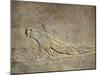 Scene of Ashurbanipal Hunting: a Wounded Lioness, Relief from Royal Palaces of Nineveh-null-Mounted Giclee Print