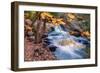 Scene of Autumn Leaves and Duck Brook-Vincent James-Framed Photographic Print