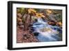 Scene of Autumn Leaves and Duck Brook-Vincent James-Framed Photographic Print