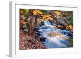 Scene of Autumn Leaves and Duck Brook-Vincent James-Framed Photographic Print