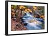 Scene of Autumn Leaves and Duck Brook-Vincent James-Framed Photographic Print