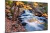 Scene of Autumn Leaves and Duck Brook-Vincent James-Mounted Photographic Print