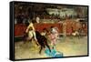 Scene of Bullfight-Fortuny y Marsal Mariano-Framed Stretched Canvas