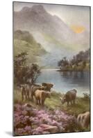 Scene of Countryside in Scotland-null-Mounted Giclee Print