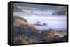 Scene of Fog and Light Petaluma Hills Northern California-Vincent James-Framed Stretched Canvas