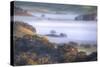 Scene of Fog and Light Petaluma Hills Northern California-Vincent James-Stretched Canvas