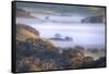 Scene of Fog and Light Petaluma Hills Northern California-Vincent James-Framed Stretched Canvas