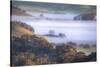 Scene of Fog and Light Petaluma Hills Northern California-Vincent James-Stretched Canvas