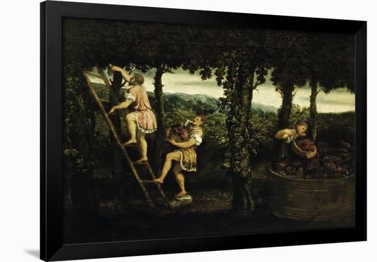 Scene of Grape Harvest-Paris Bordone-Framed Giclee Print