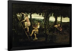 Scene of Grape Harvest-Paris Bordone-Framed Giclee Print