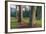 Scene of Rainbow Eucalyptus-Vincent James-Framed Photographic Print