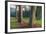 Scene of Rainbow Eucalyptus-Vincent James-Framed Photographic Print